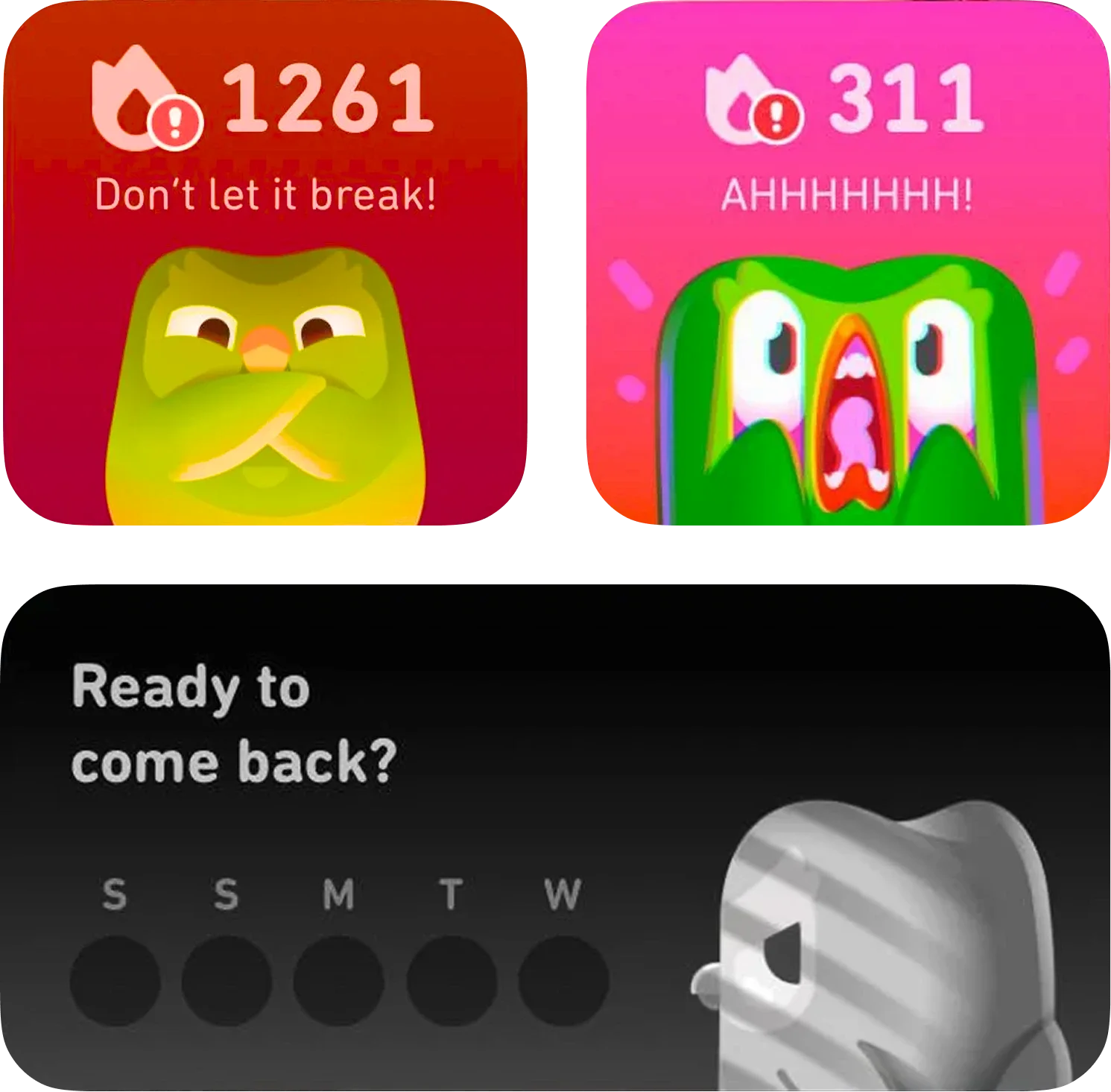 Image showcasing the research process for the Duolingo case study, including screenshots of social media posts and a user interview in progress
